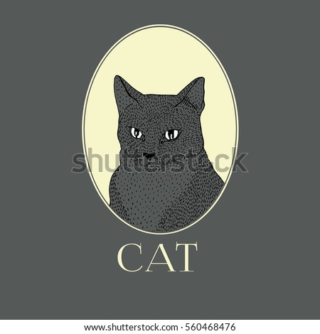 Cat illustration vector