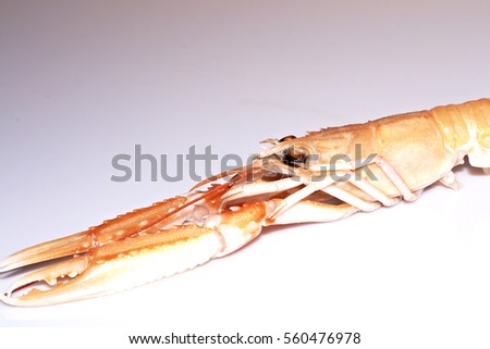 Raw sea crawfish