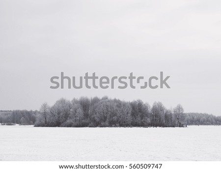 Forest in winter on the river