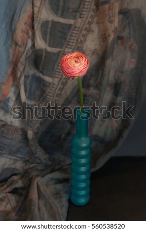 Ranunculus in a vase
