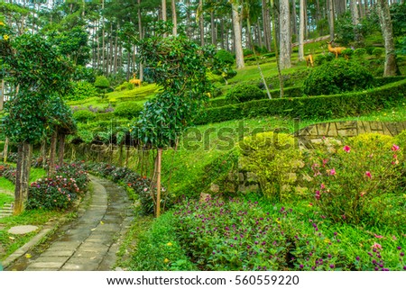 Landscape design of relax tropical garden