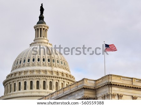 U.S. Capitol (Washington DC, USA) Royalty-Free Stock Photo #560559388