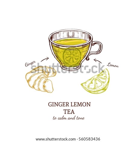 Aromatic tea recipe with glass cup ginger and lemon ingredients in sketch style isolated vector illustration