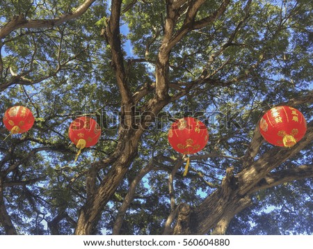 Chinese red lantern with Chinese character means Happy Chinese New Year hanging on the tree for Chinese New Year celebration.