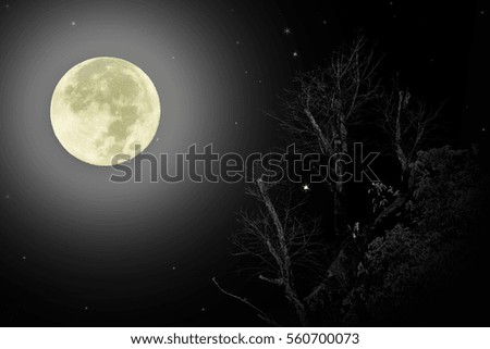 The Moon in dark night.