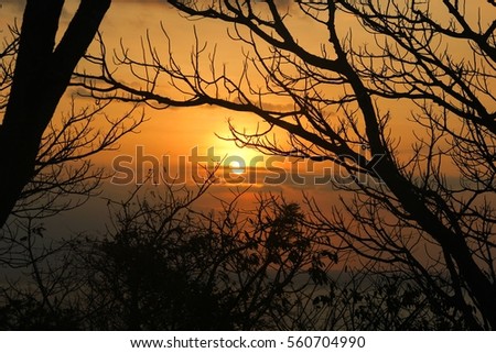 Peaceful orange sunset with silhouette of tree branches on the front in the island of Gili Trawangan, Indonesia. Nature landscape at twilight