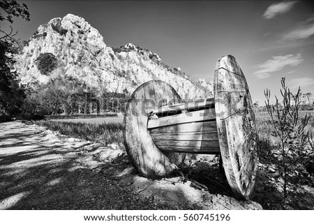 Wooden roller in nature, black and white picture style