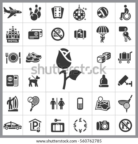 Set of Travel Icons. Contains such Icons as Camera, Plate, Hotel, Travel Case, Airplane, Passport, Security, Sports and more. Editable Vector. Pixel Perfect.