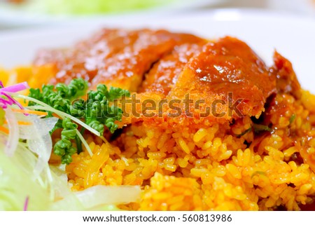 Rice Chicken Curry close up