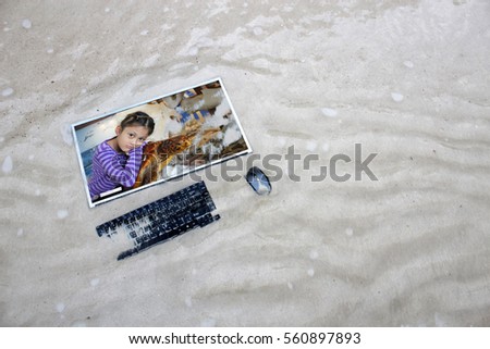 Computer on the beach with Asian girl and sea turtles on the screen,Marine conservation concept

