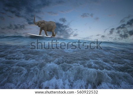 Summer fun, picture of an elephant surfing the waves