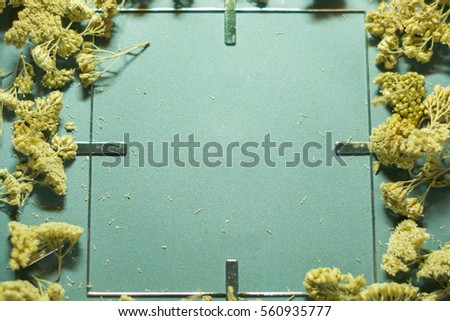 Gray frame with dried flowers