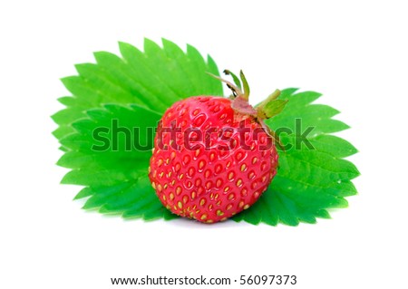 Strawberry on Green Leaf