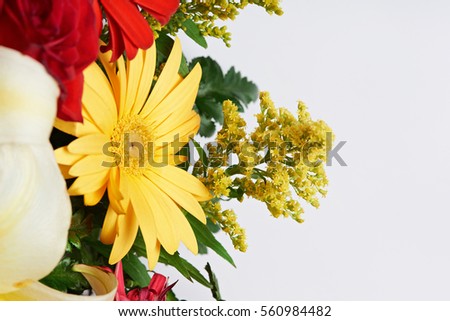 Yellow and red flowers isolated on white background