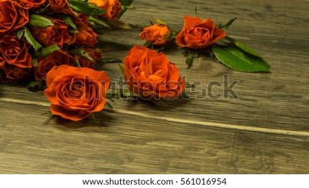 Rose blossoms on a dark wooden background