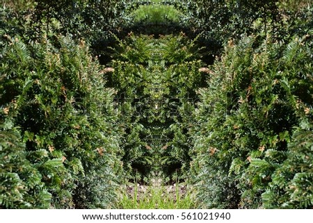 Abstract pattern of blooming trees in springtime. European garden park scene with tree for gardening business blogs, creative websites, template design, outdoor magazine. Image with symmetry filter