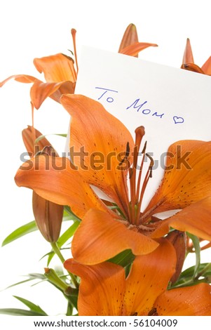 Orange tiger lily isolated on white background. In the color card To Mom