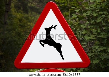 Traffic Deer road Warning Sign, spain