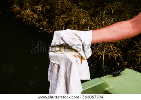 photo Picture of a Fish Catched by a Fisherman