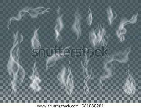 Realistic cigarette smoke waves or steam on transparent background. Vector Set.