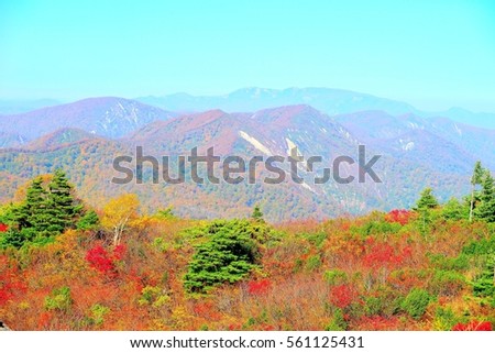 Autumn colors at Kurikoma highlands in Akita and Iwate, Japan Royalty-Free Stock Photo #561125431