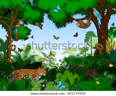 Rainforest with animals vector illustration. Vector Green Tropical Forest jungle with parrots, jaguar, tapir, sloth, anaconda and butterflies. Royalty-Free Stock Photo #561179950