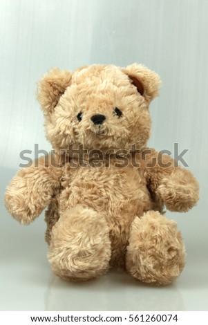Teddy bear isolate background