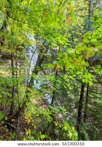 Munising Falls Obscured by Autumn Folliage