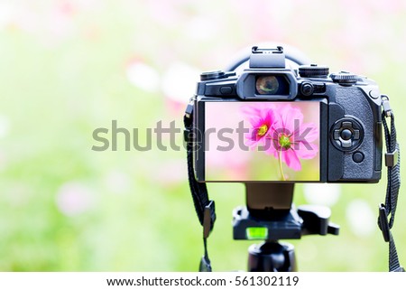 Camera on a tripod In the nature background