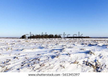   a field covered with snow drifts little word. Winter season, landscape photo.