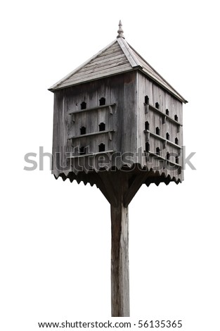 isolated white background picture from a dovecot.