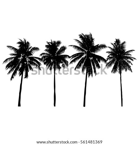 set of silhouette coconut trees, natural sign, vector illustration