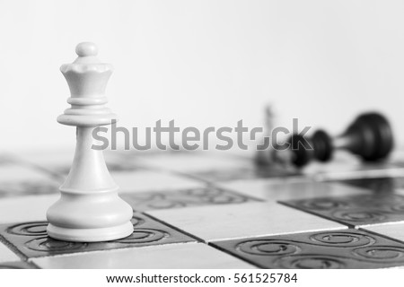 Chess photographed on a chessboard Royalty-Free Stock Photo #561525784