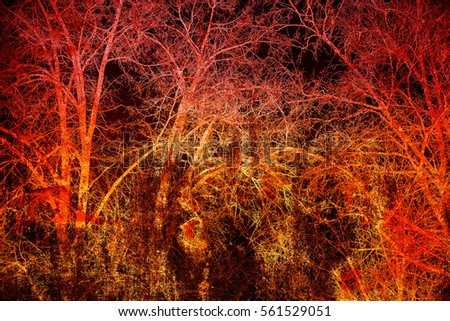 Abstract dark background. Tree branches on a black and red background. Creative photo editing