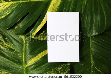 Close-up of paper sheet with background Leaf pattern, green, yellow .