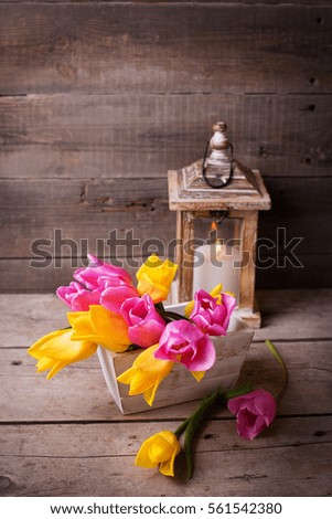 Pink and yellow  spring tulips  in box and candle in lantern  on vintage  wooden background. Selective focus. 
