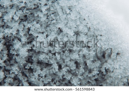 Frozen snowflakes, icing, cluster snowflakes. Macro.