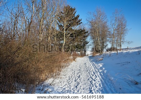 Beautiful snowy lane somewhere in the Liptov Slovak.