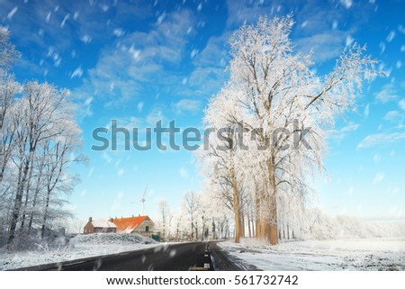 Frozen road and snowy tree`s by urk Netherlands with snow by the camera,January 2017