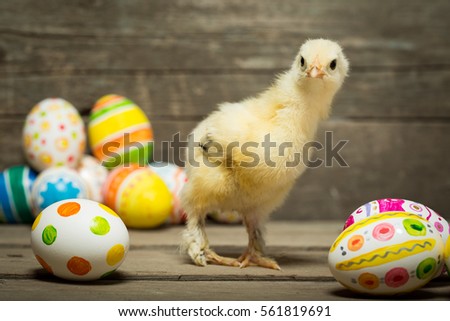 Easter eggs and chicken on wooden boards