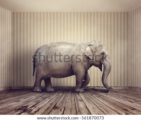 Elephant in the room metaphor for an obvious problem or risk no one wants to discuss Royalty-Free Stock Photo #561870073