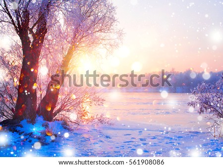 Beautiful Winter landscape scene background wit snow covered trees and ice river. Beauty sunny winter backdrop. Wonderland. Frosty trees in snowy forest. Tranquil winter nature in sunlight.