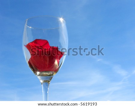 Wineglass with rose flower on sky background