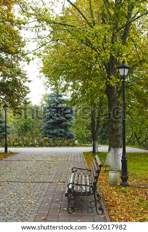 -Alley in the park in autumn Skovorodinovka, lonely bench