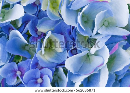 Blue fabric flowers closeup picture.