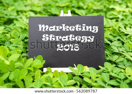 "Marketing Strategy 2018" word written on blackboard with green grass background.