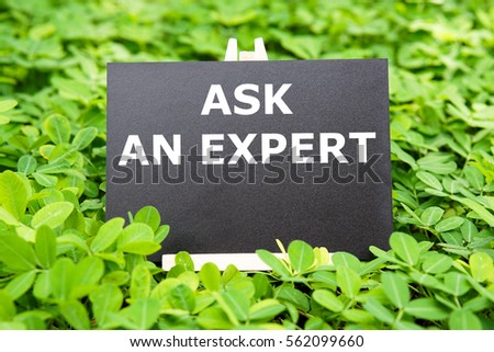 "ASK AN EXPERT " words written on blackboard with green grass background