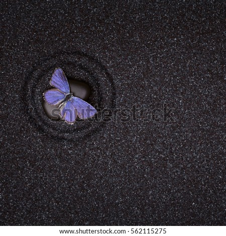 Zen garden with wave lines in the black grain sand with a vivid blue butterfly