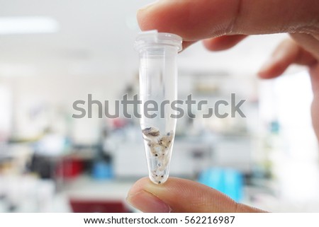 scientist hand holding laboratory test tube with soft focus