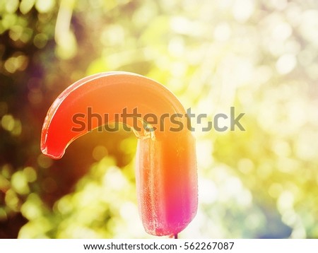 the red Ice cream sticks and blurred backgrounds